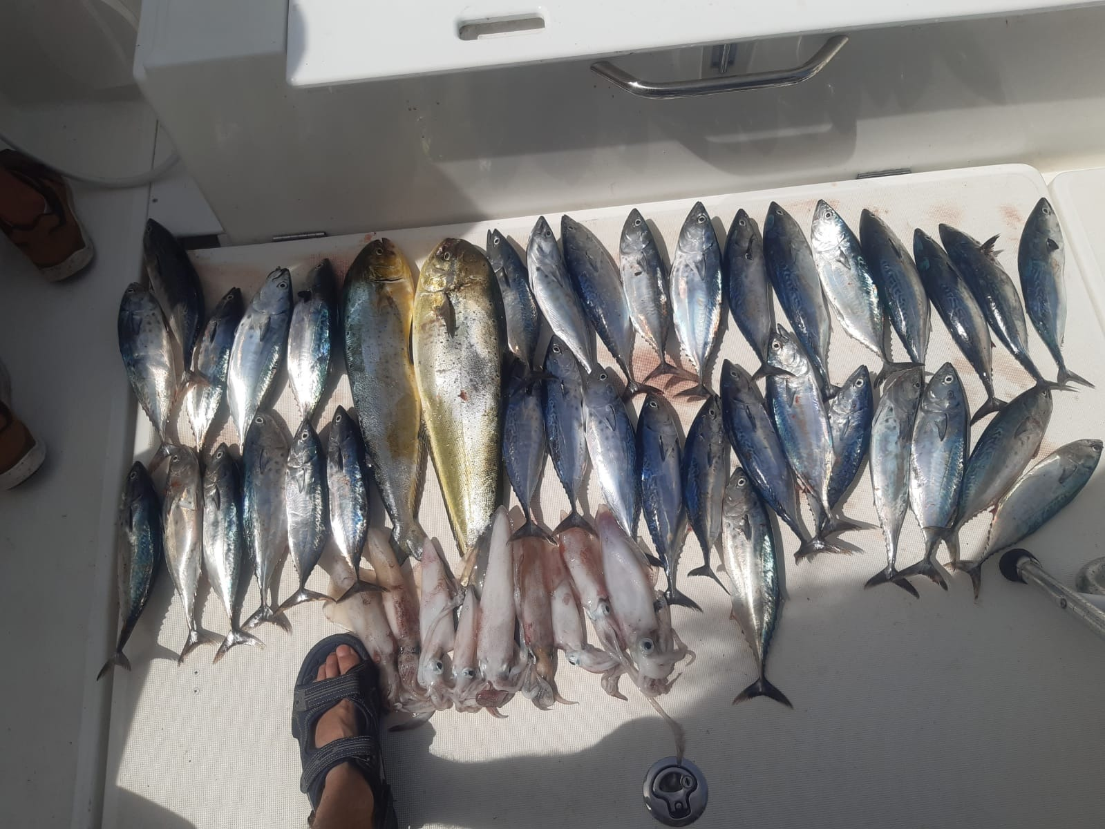 Día de pesca